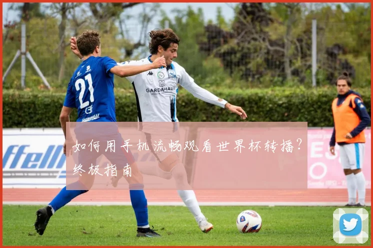 如何用手机流畅观看世界杯转播?终极指南