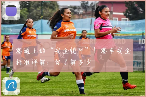 赛道上的“安全铠甲”！赛车安全标准详解，你了解多少