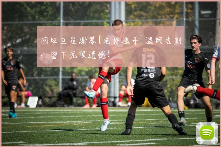 网坛巨星谢幕[老将选手]温网告别，留下无限遗憾！